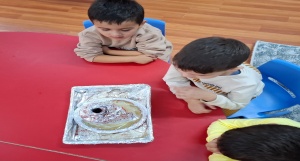 Okul Öncesi Farkındalık Çalışmaları