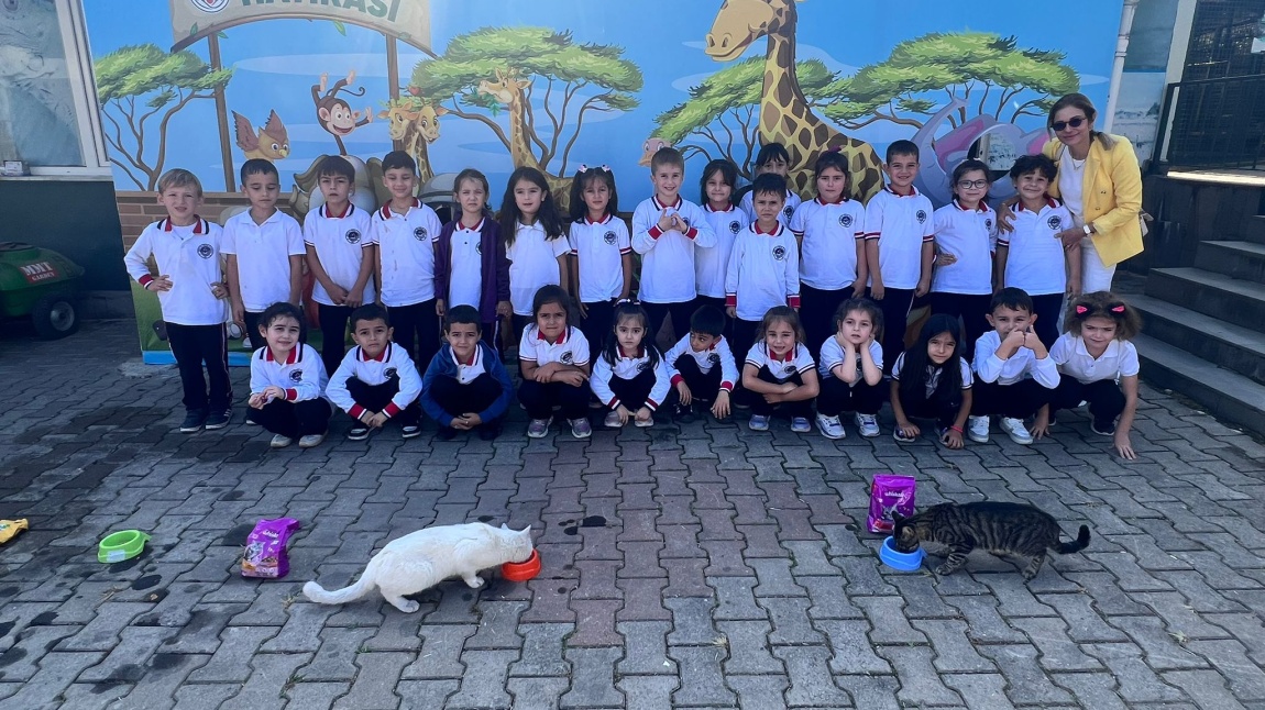 1/C sınıfı Öğrencilerinden Hayvanat Bahçesi'ne Hem Eğitici Hem Keyifli Ziyaret